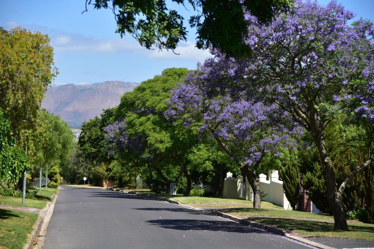 Yebo Boutique Guesthouse Somerset West Dış mekan fotoğraf